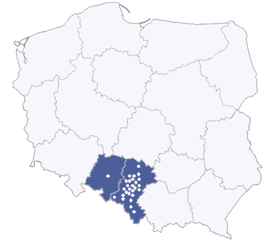 Cityboard Media - Region Śląski