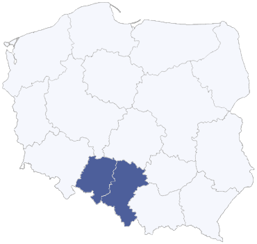Śląsk Region